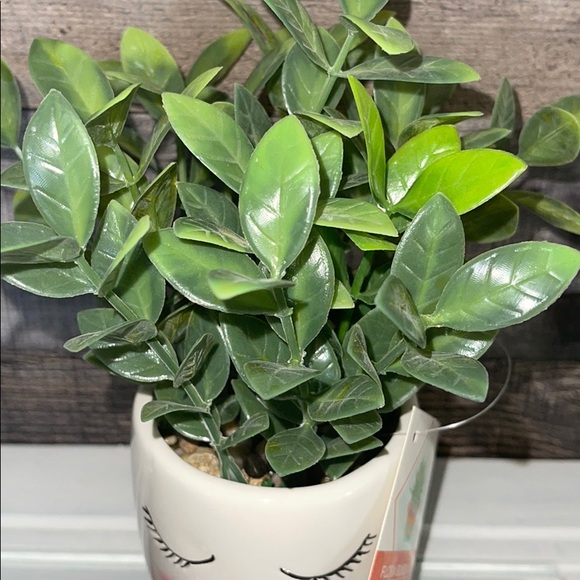 ❤️NEW!!!❤️ Home Decor Succulent Planters. - Picture 3 of 6